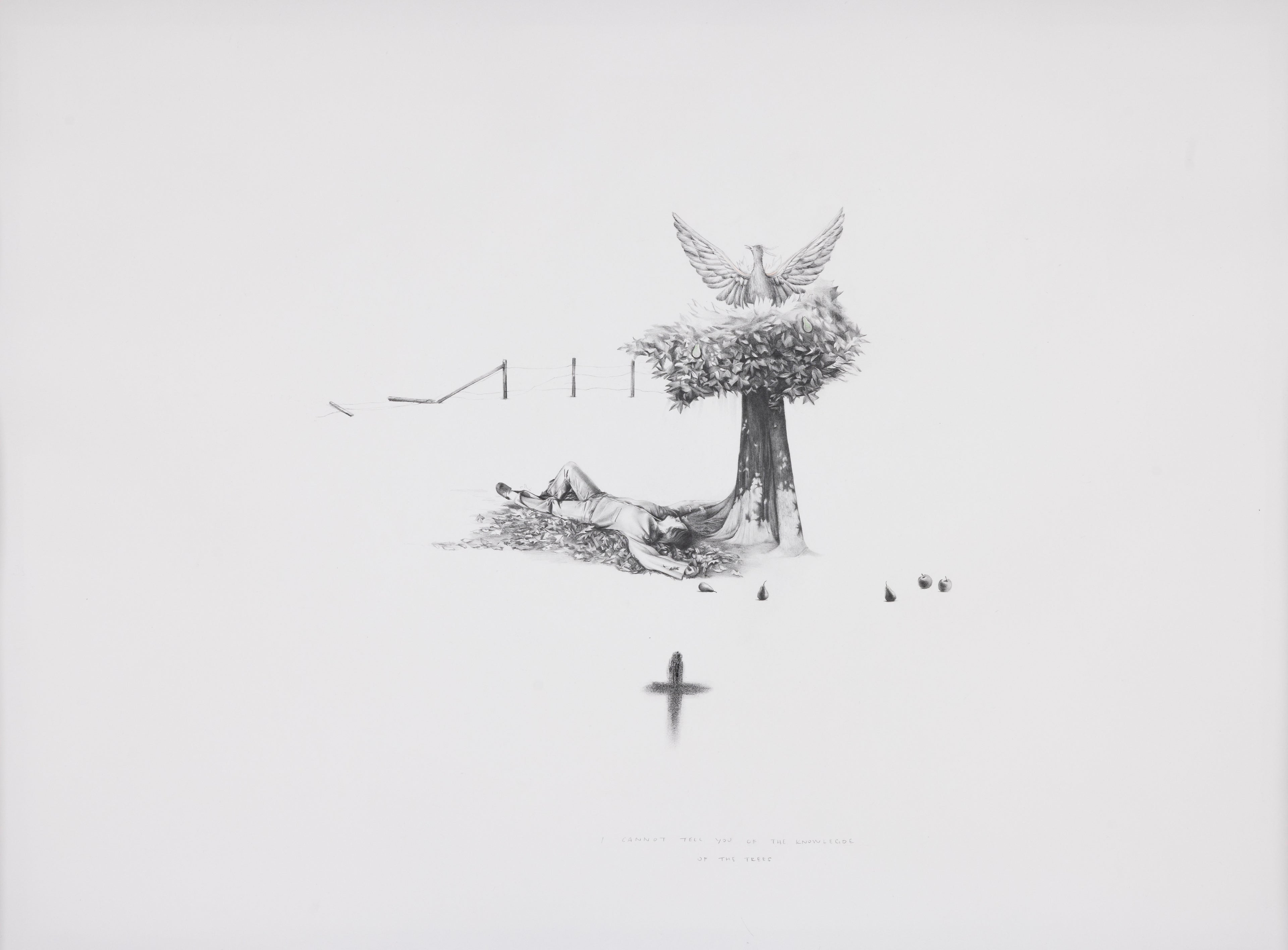 Graphite drawing of a girl laying beneath a tree with a phoenix emerging from the foliage, detail view — Knowledge of the Trees, by Kate McDuffie