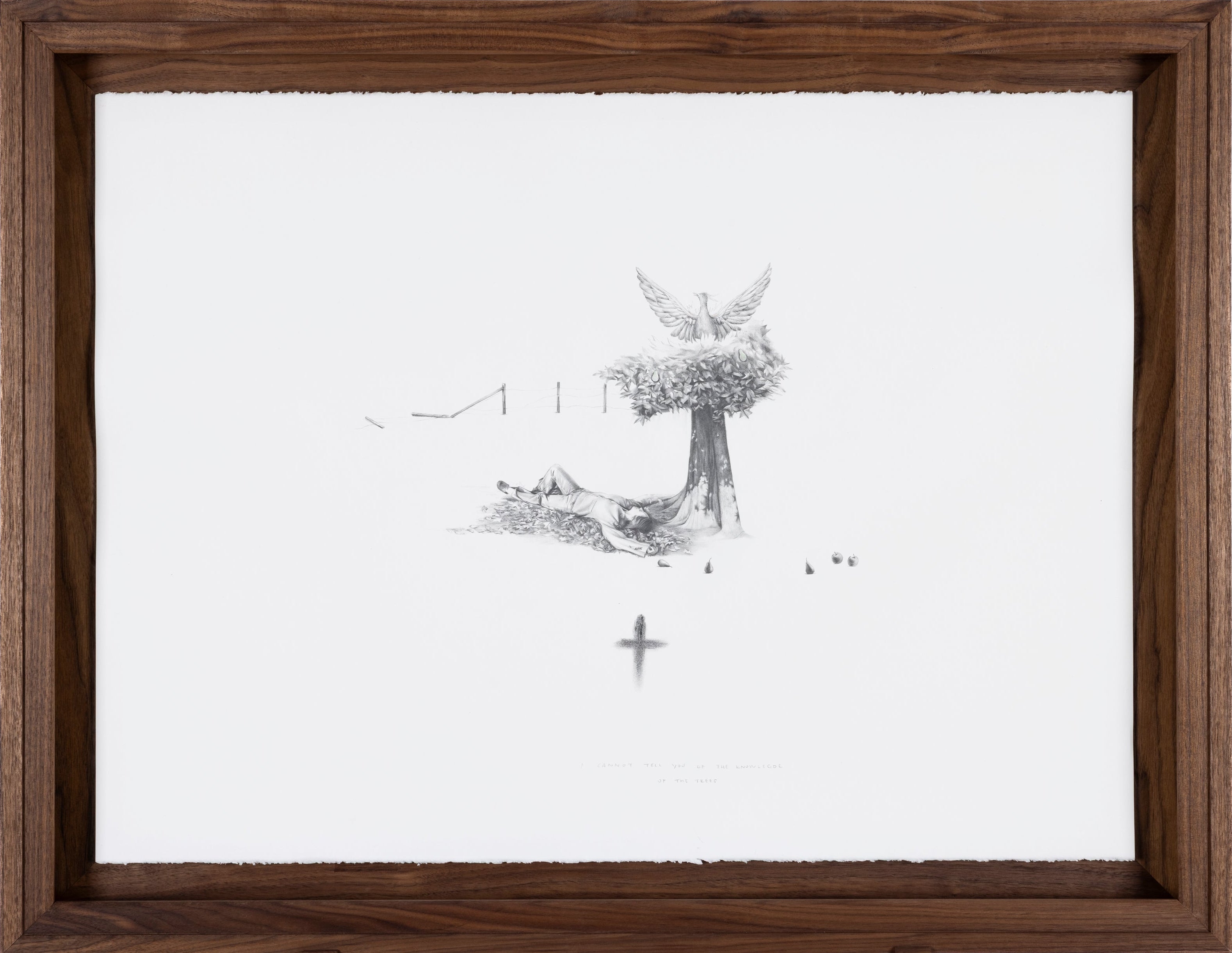 Graphite drawing of a girl laying beneath a tree with a phoenix emerging from the foliage, full composition — Knowledge of the Trees, by Kate McDuffie