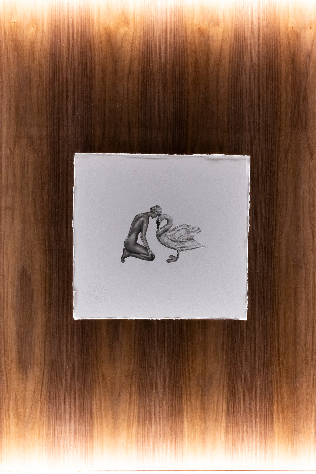 Graphite drawing of a woman kneeling with a swan, Eve before the Fall, detail view — Back to God, by Kate McDuffie