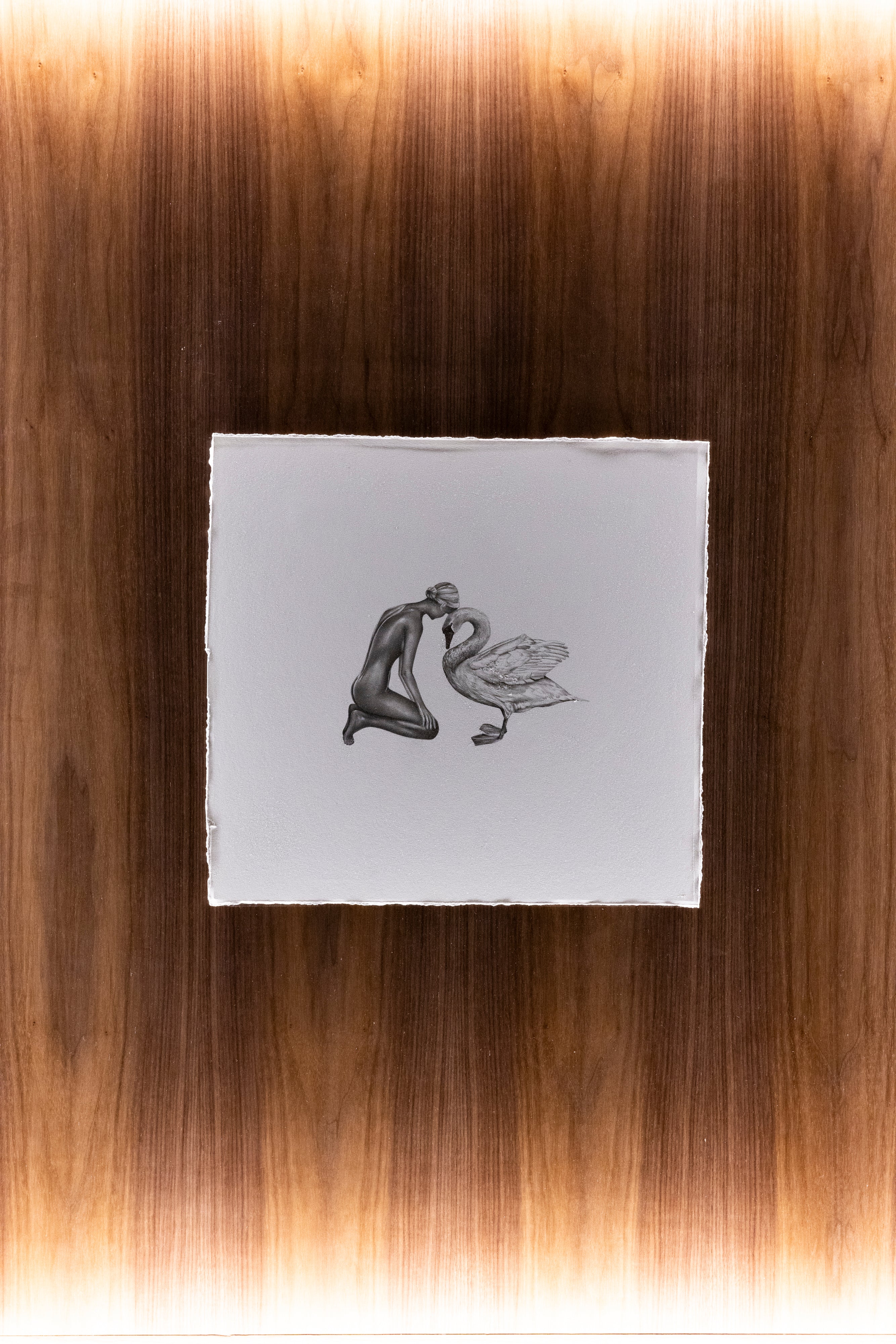 Graphite drawing of a woman kneeling with a swan, Eve before the Fall, detail view — Back to God, by Kate McDuffie
